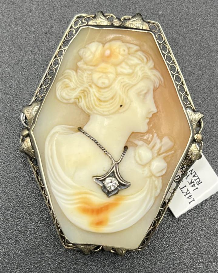 2022 CAMEO VICTORIAN LADY WITH  Winter Haven Florida 33880