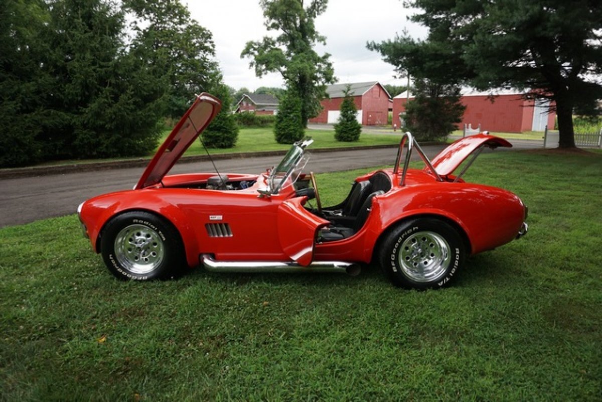 1965 SHELBY COBRA COBRA REPLICA STUNNING APPEARENCE EXHILERATING TO DRIVE LARGE INTERIOR MANY OPTIONS - Photo 43